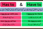 Has to and have to with Urdu Translation and Examples