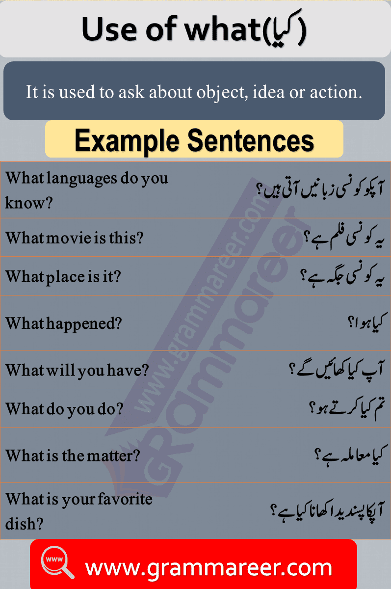 Use of what, Question words in Urdu, Wh Question words, English Grammar lesson in Urdu, Basic Grammar in Urdu