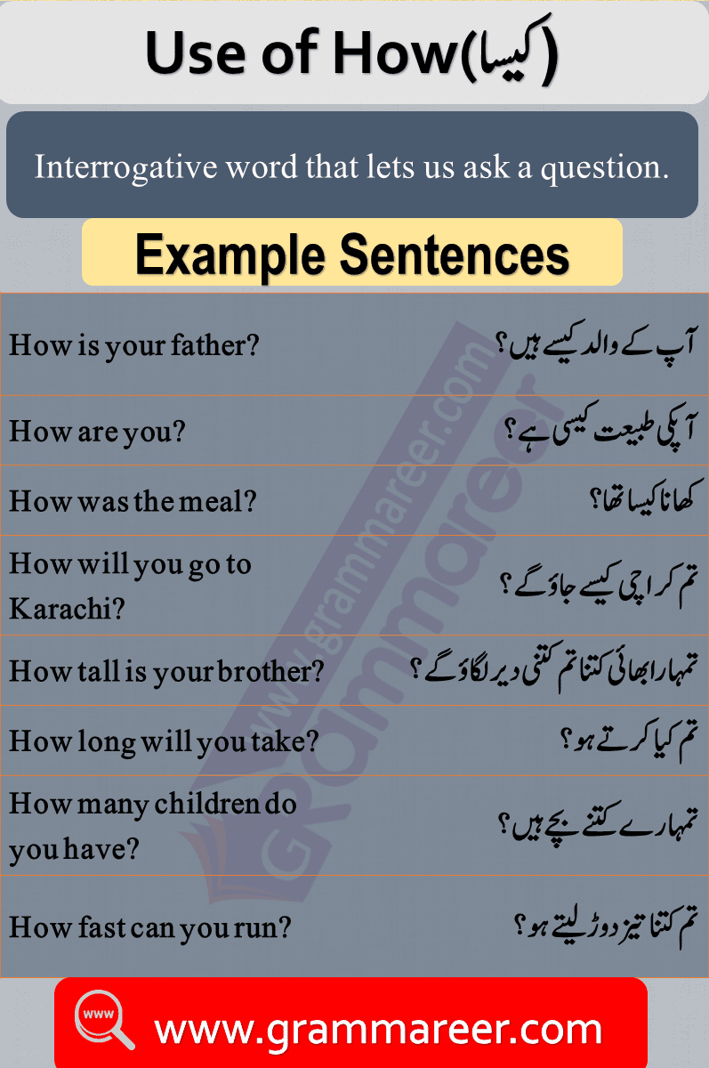 Use of how, Question words in Urdu, Wh Question words, English Grammar lesson in Urdu, Basic Grammar in Urdu