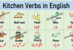 Kitchen Verbs in English with Urdu Meanings PDF Let us learn useful verbs commonly used in kitchen with example sentences and meanings for improving your English vocabulary.