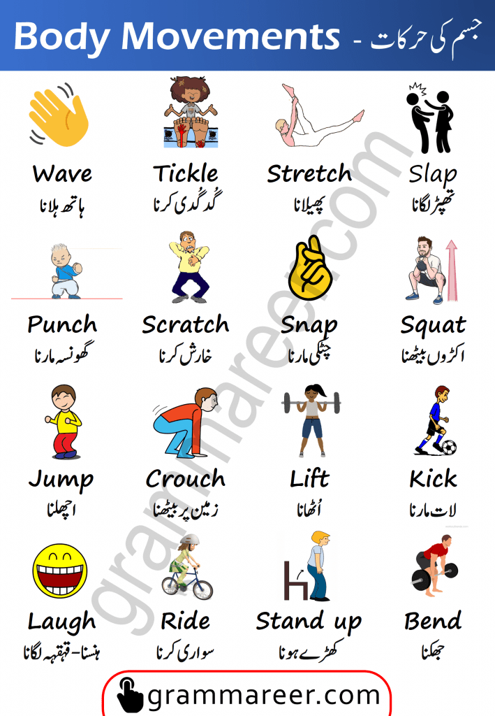 Body Movement Verbs in English with Urdu Meanings, Body actions in Urdu and Hindi, Body movements vocabulary