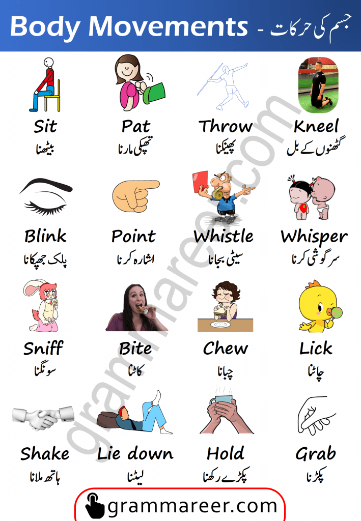 Body Movement Verbs in English with Urdu Meanings, Body actions in Urdu and Hindi, Body movements vocabulary