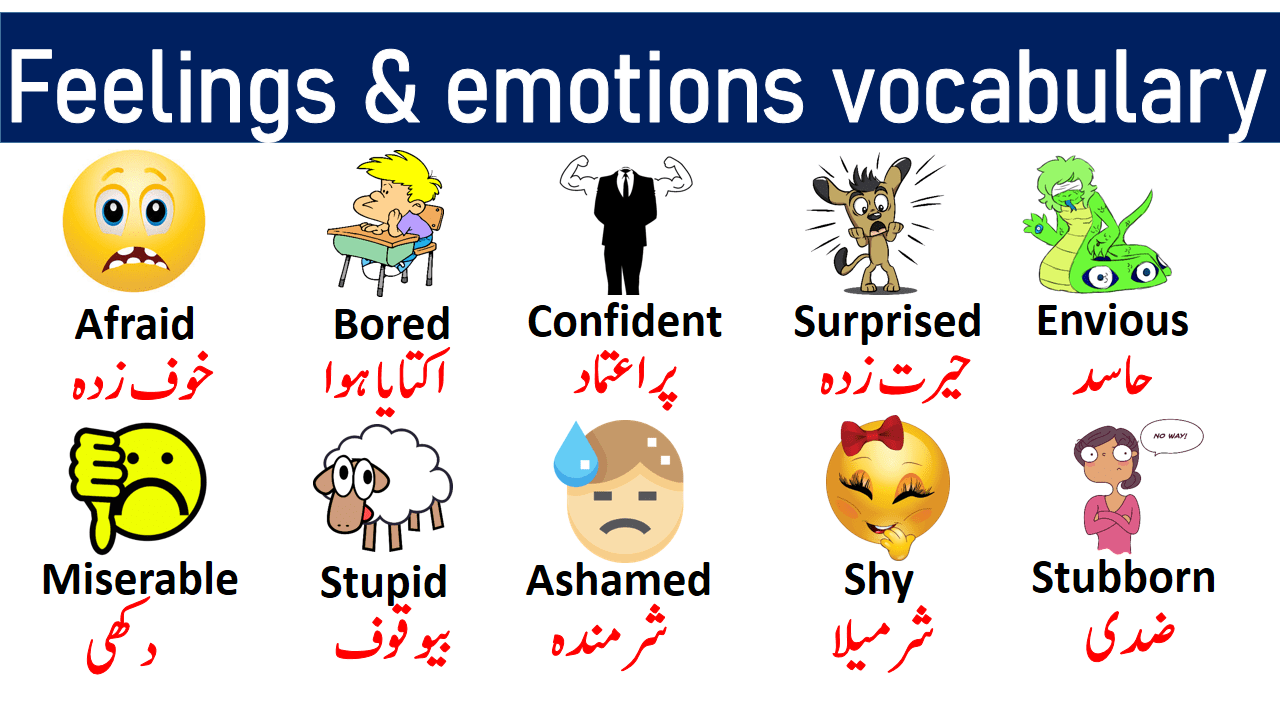 Feelings And Emotions Vocabulary List With Urdu Meanings Grammareer