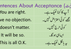 Sentences About Acceptance with Urdu Translation learn English sentences to accept someones opinion about something using Hindi and Urdu translation for improving your spoken English.