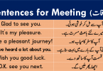 Sentences About Meeting with Urdu or Hindi Translation learn English sentences for meeting and parting with Urdu and Hindi translation for improving your English speaking skills.
