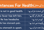 Health and Ailments Related Sentences with Urdu or Hindi learn English sentences for ailment and health with Hindi and Urdu Translation for improving your English speaking skills.