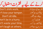 Do Not Sentences Examples with Urdu Translation learn useful English sentences with Do Not in Urdu and Hindi translation for improving your English speaking skills.