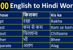 1000 English to Hindi Vocabulary Words Book PDF