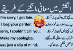 Sentences for Pardon and sorry with Urdu Translation learn commonly used English sentences to say sorry with Urdu and Hindi translation
