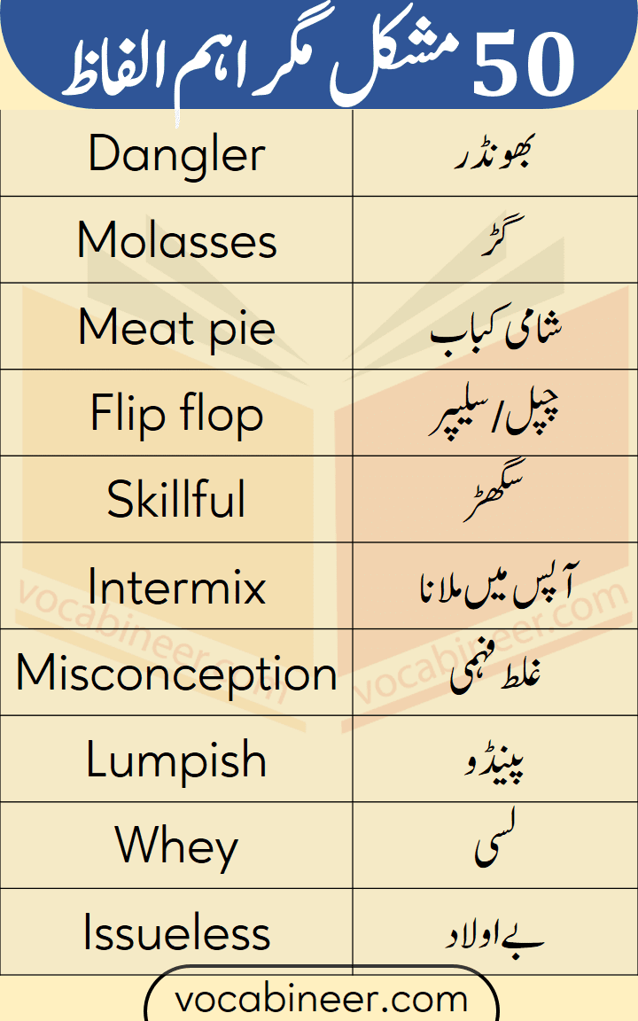  English to Urdu Vocabulary