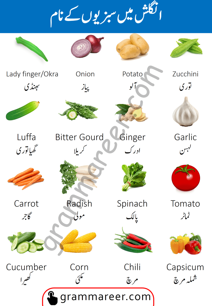 Vegetables Names in English