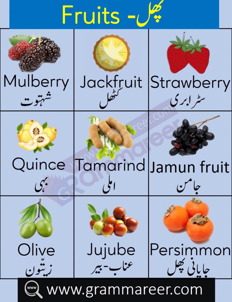 Fruit Names in Urdu