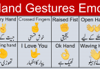 Hand Gesture Emoji Meanings with Pictures in Urdu