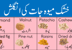 Dry Fruits Vocabulary List with Meanings in Urdu learn common dry fruits names in English and Urdu with pictures list of names of dry fruits in Pakistan and India with their Urdu meanings