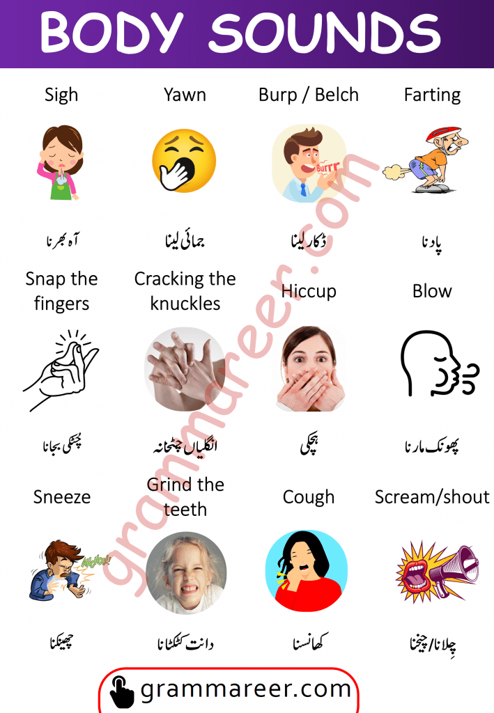 Body sounds vocabulary with Urdu Meanings