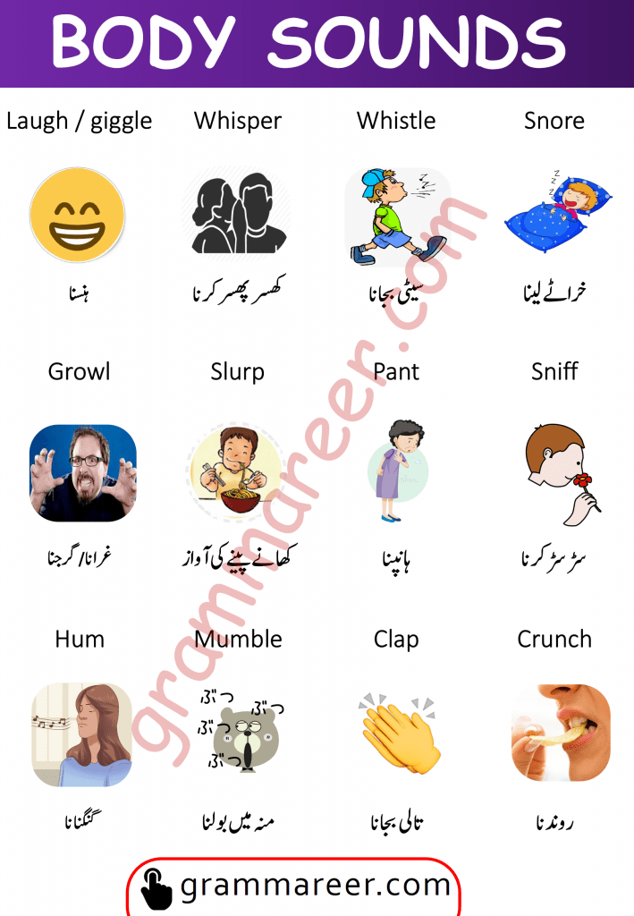 Body sounds in English and Urdu