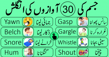 Learn 30 Body Sound Words in English with Urdu Meanings human body produces different types of noises and sounds this lesson is about learning commonly produced sounds by our body with their Urdu meanings