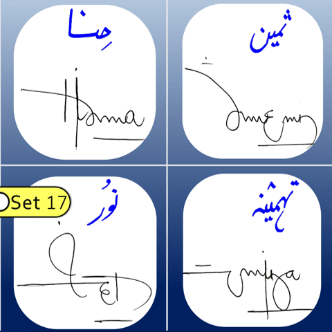 Hina, Sameen, Noor, Tehmeena name signatures