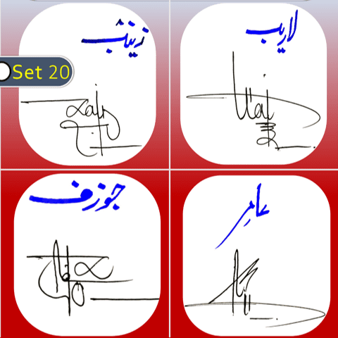 Zainab, Laraib, Jozaf, Amir handwritten signatures styles