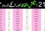 210 basic english vocabulary words with Urdu meanings