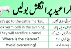English Speaking Practice in Urdu to Talk about Eid ul Azha, Eid ul Adha English sentences with Urdu and Hindi translation