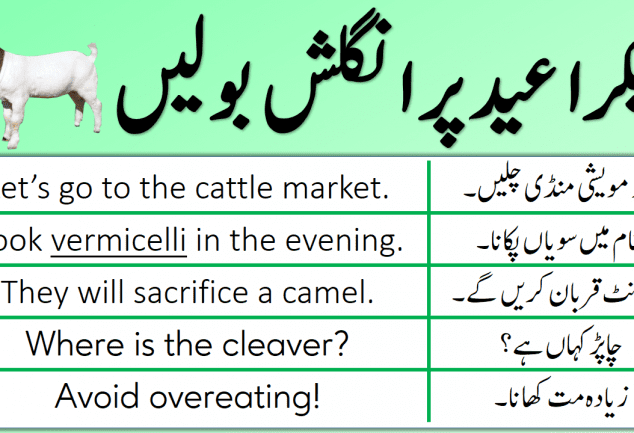 eid-ul-adha-sentences-in-urdu-grammareer