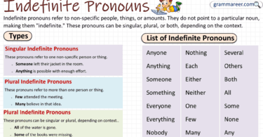 Indefinite Pronouns with Examples