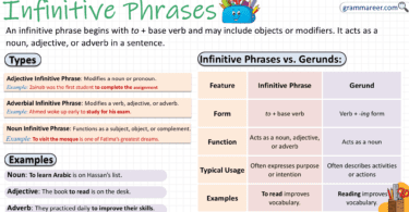 Infinitive Phrases in English