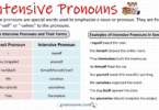 Intensive Pronouns: Definition, Uses and Examples