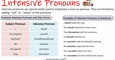 Intensive Pronouns: Definition, Uses and Examples