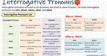 Interrogative Pronouns in English with Examples