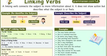 Linking Verbs in English