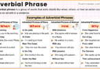 Adverbial Phrase - Definition, Types, and Examples in English Grammar