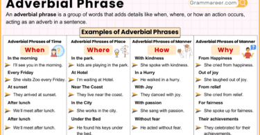 Adverbial Phrase - Definition, Types, and Examples in English Grammar