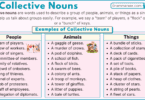 Collective Nouns in English with Examples