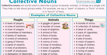 Collective Nouns in English with Examples