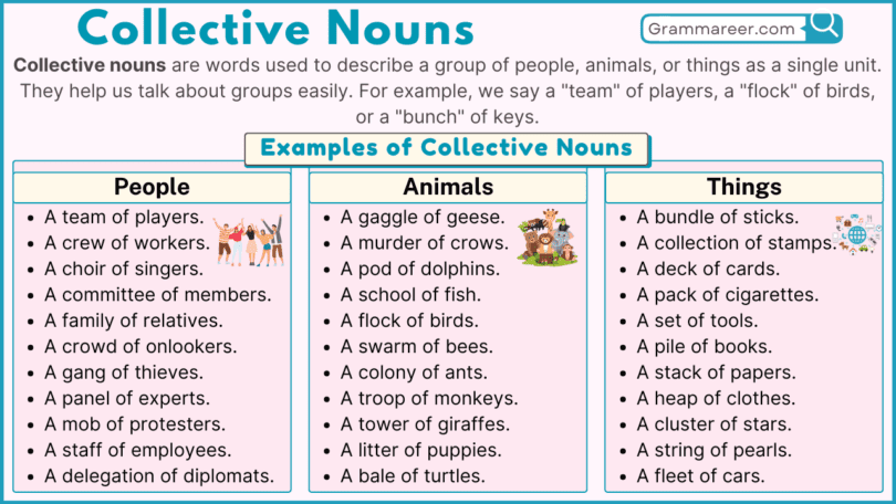 Collective Nouns in English with Examples