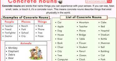 Concrete nouns in English with Examples