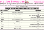 Relative Pronouns in English with Example Sentences