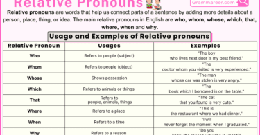 Relative Pronouns in English with Example Sentences