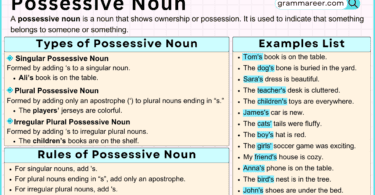 Possessive Noun: Definition, Rules, Types, and Examples