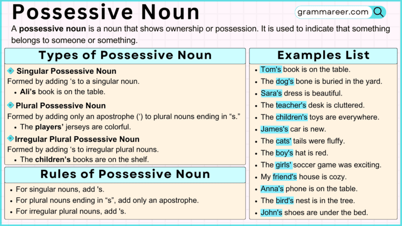 Possessive Noun: Definition, Rules, Types, and Examples