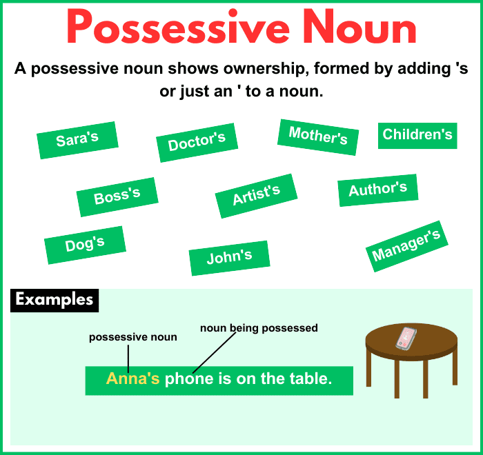 What is Possessive Noun? Definition and Examples