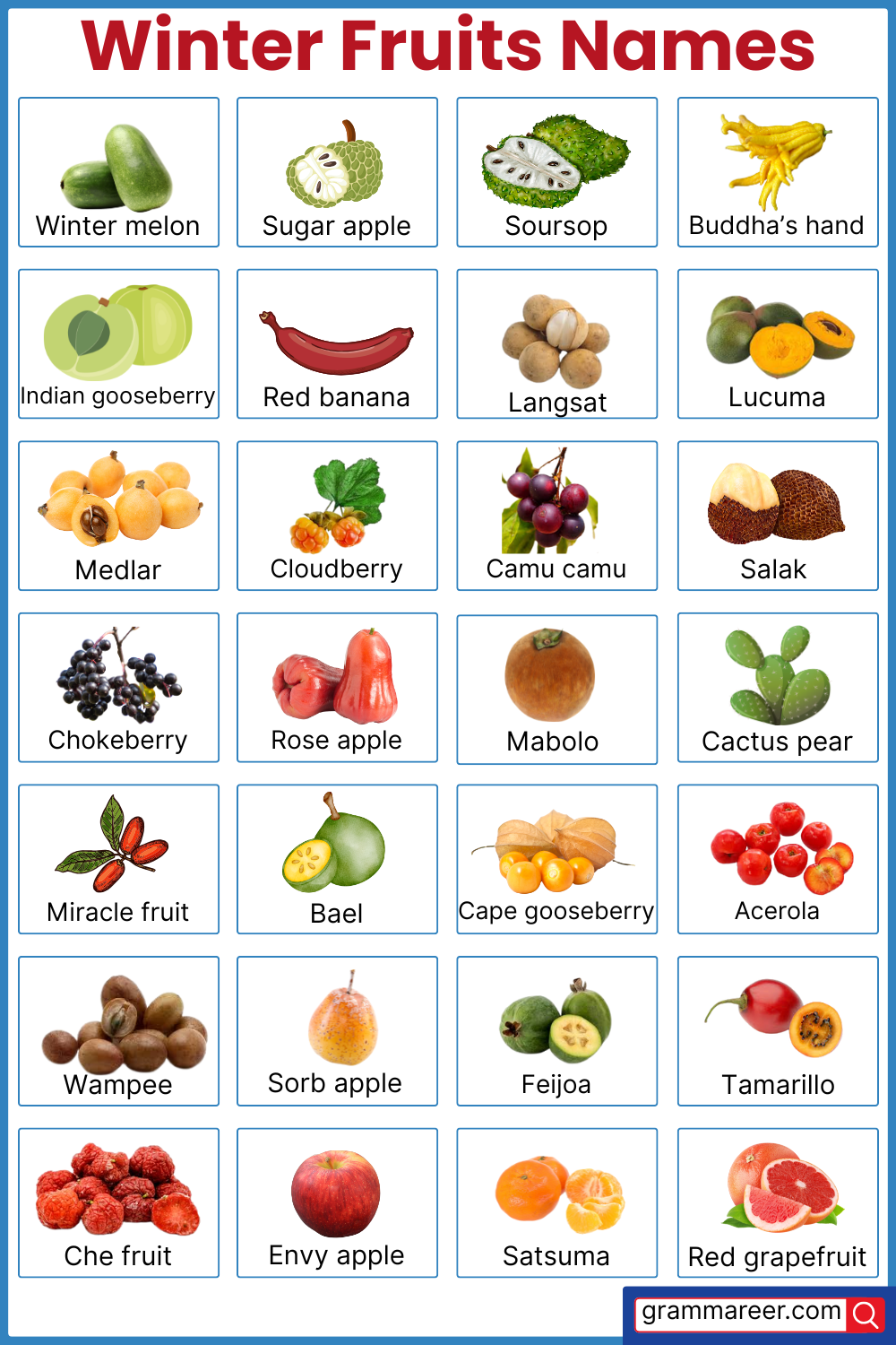 List of 100 Winter Season Fruits Names in English with Pictures