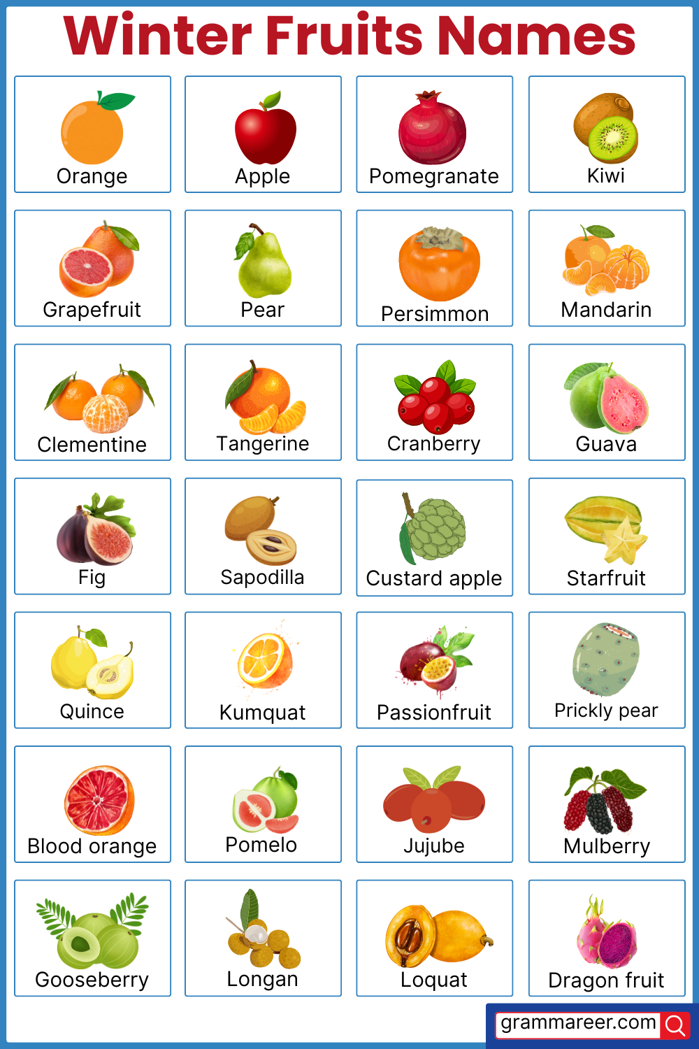 30 Common Winter Fruits Names with Pictures