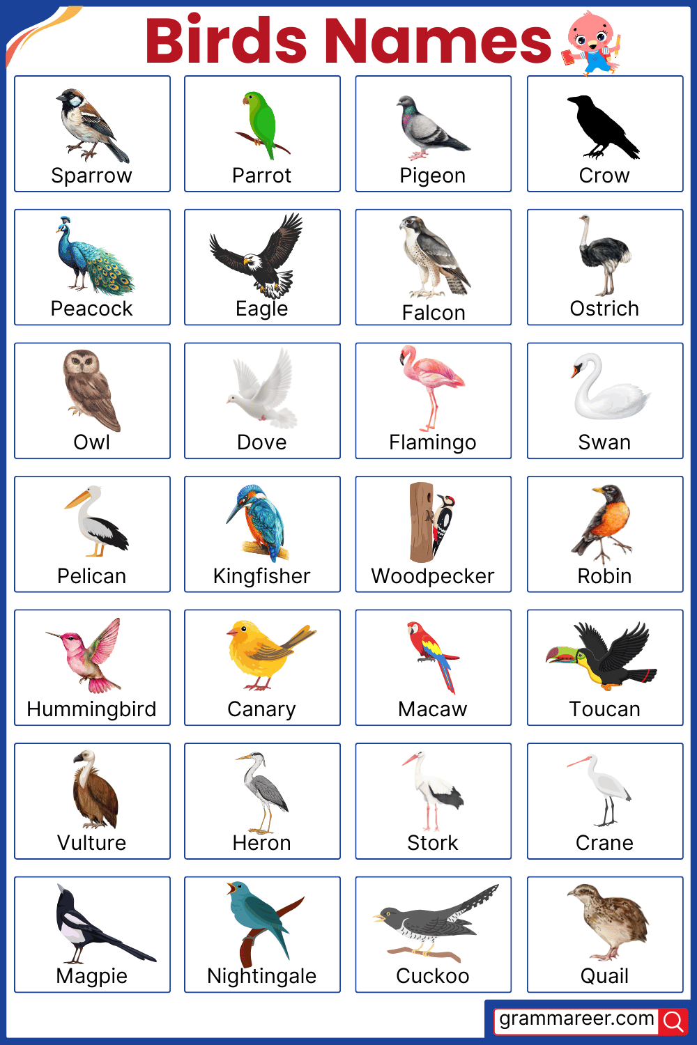 30 Most Common Birds Names with Pictures