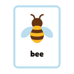 Bee