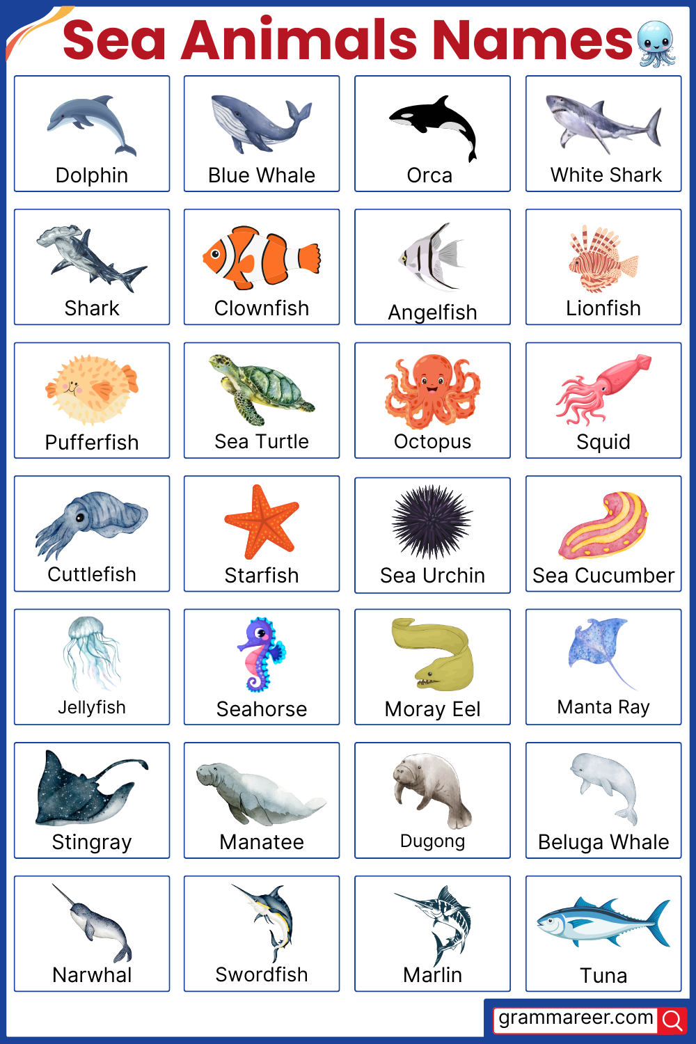 Sea animals names with pictures – learn ocean creatures in English.