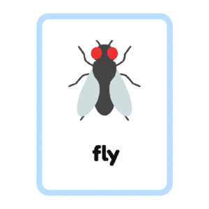 Fly