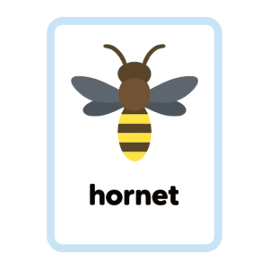 Hornet